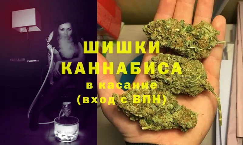 Марихуана Bruce Banner  Пыталово 